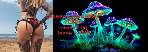 дмт Карталы