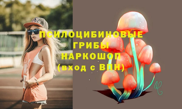 дмт Карталы